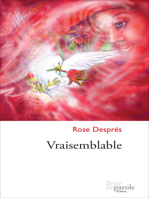 Cover image for Vraisemblable
